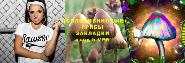 ПСИЛОЦИБИНОВЫЕ ГРИБЫ Богородицк
