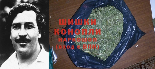 ПСИЛОЦИБИНОВЫЕ ГРИБЫ Богородицк