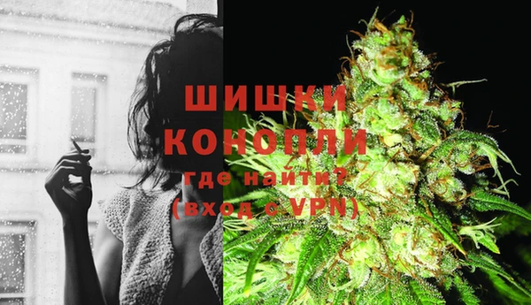 ПСИЛОЦИБИНОВЫЕ ГРИБЫ Богородицк