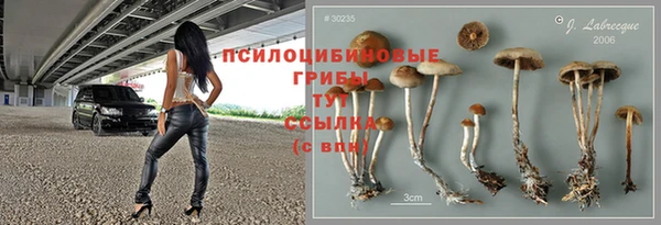 прущие крисы Богородск