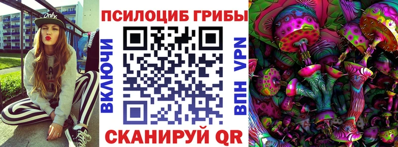 Псилоцибиновые грибы Magic Shrooms  сколько стоит  Котлас 